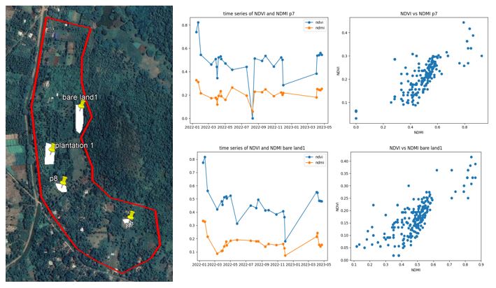 ndvi_6